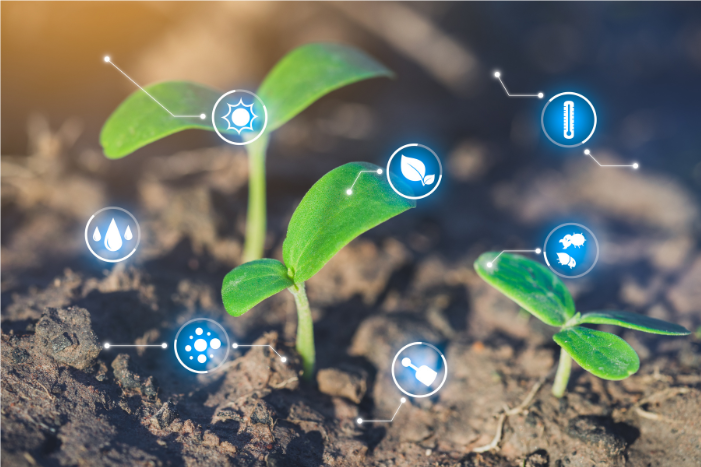 Pelatihan Penanaman Bibit Unggul